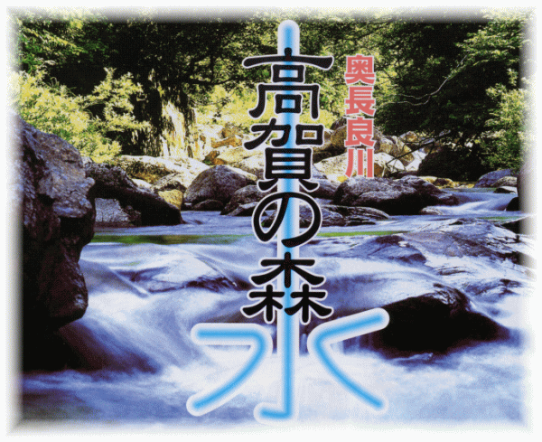 高賀の森水 500ml ペットボトル 48本 (24本入×2 まとめ買い) ミネラルウォーター 国産 天然水 軟水 こうかのしんすい