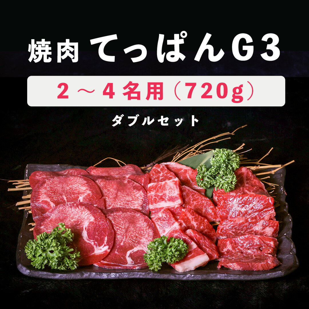 【焼肉 てっぱんG3 ダブルセット】 全720g 2~4名用 焼肉セット 焼肉用 牛肉 焼き肉 盛り合わせ 詰め合わせ 冷凍 焼き肉ギフト 自宅 焼き肉用牛肉 お取り寄せ 美味しい お肉セット バレンタイン…