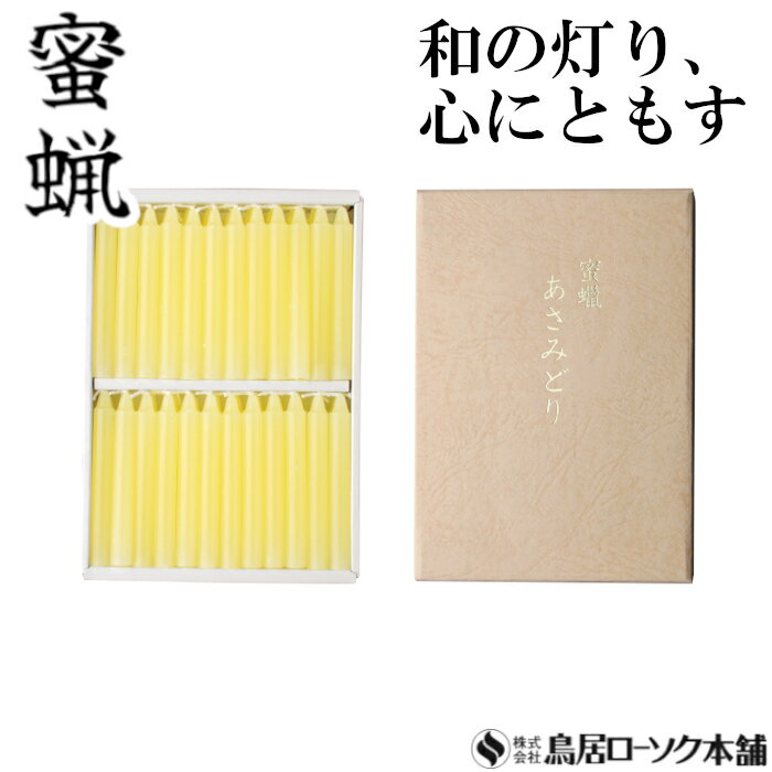 「蜜蝋 あさみどり 太ダルマ 48本入」ローソク みつろう 蜜蝋燭 鳥居ローソク本舗 蜜ろうそく 蝋燭 キャンドル ともしび 灯 仏具 仏壇 神具 ギフト 進物 贈答 贈り物 お盆 お彼岸 法要 葬儀 喪中見舞 喪中はがき