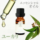 アロマオイル 精油 エッセンシャルオイル ディフューザー プレゼント バレンタイン お返し ホワイトデー ギフト ユーカリ 10ml PINETREE パインツリー 100% 天然