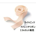 関連商品はこちらバンヘッド BUNHEADS ストレッチリボン ...9,900円