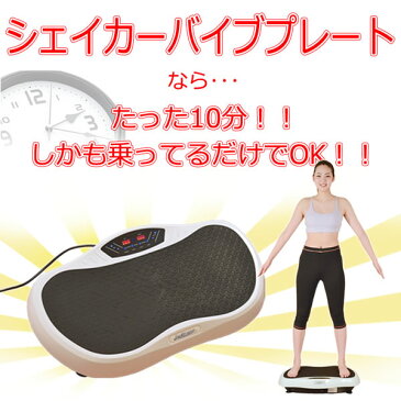 【店内P最大20倍】シェイカー バイブプレート 【メーカー直送品】 (送料無料)