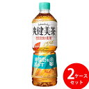 爽健美茶 健康素材の麦茶 600ml PET 48本 (24本×2ケース) (全国一律送料無料) コカコーラ コカ・コーラ 機能性表示食品 お茶 麦茶 飲料 ローズヒップ ティリロサイド 大麦 玄米