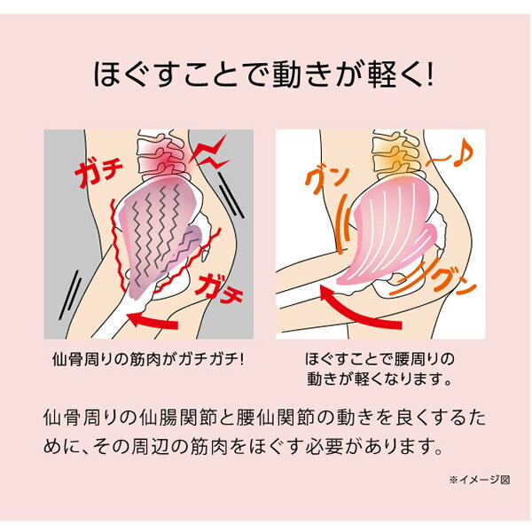 仙骨ほぐしで腰スッキリ Proidea プロイデア コシレッチ 送料無料 骨盤 補正 ストレッチ ゆがみ 歪み 肩甲骨 仙腸 筋肉 腰 腰仙 ほぐし 押圧 ダイエット クッション 総合福袋