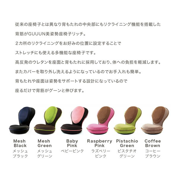 <10/4〜10/9限定★最大100%ポイントバック>背筋がGUUUN 美姿勢座椅子 リッチ (送料無料) RICH 座椅子 背筋がグーン 骨盤 ストレッチ 下半身 猫背 背筋 横隔膜 歪み リクライニング 在宅 テレワーク 勉強 [3]