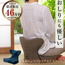 馬具マットプレミアムアドバンス (送料無料) 骨盤 姿勢 補正 猫背 ダイエット スリム 椅子 マット クッション 馬具 自宅 オフィス 敬老の日 誕生日 父の...