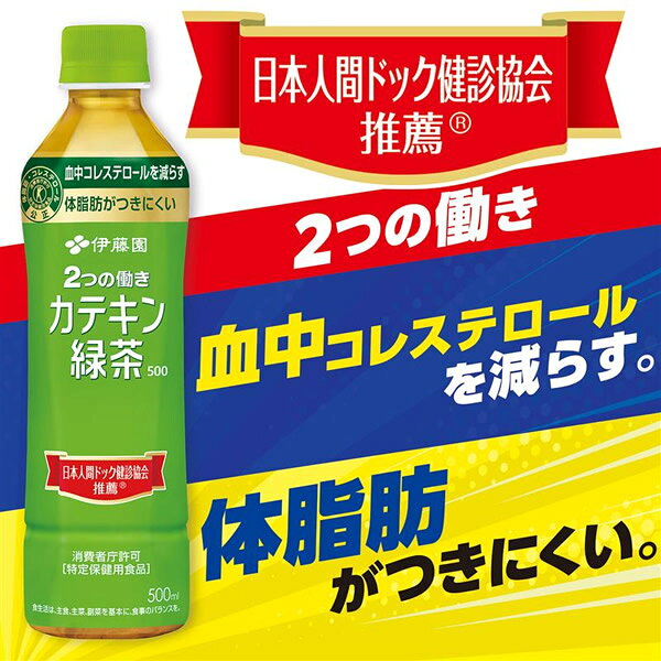＜8/4〜8/11限定★エントリーでポイント5倍＞【特定保健用食品】伊藤園 2つの働き カテキン緑茶 PET 500ml×24本 (送料無料) トクホ 特保 ガレート型 カテキン コレステロール お茶 candy-10454340 キャンディコムウェア サンプル画像2