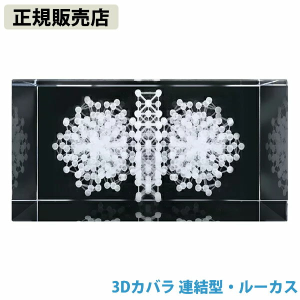 樂天商城 - ≪ポイント20倍≫【正規販売店】3Dカバラ連結型・ルーカス (送料無料)
