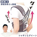 シャキッとグイーン (送料無料) 可動式 クロスベルト 腰ベルト 引き締め 保坂流 保阪尚希 美姿勢 美ボディ くびれ筋 背すじ 肩 腰 みぞおち サポート 男女兼用
