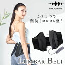 WAVEWAVE LUMBAR BELT ランバーベルト (送料無料) 骨盤ベルト 腰 サポーター 骨盤補正 ゆがみ 背骨 コルセット S字姿勢 骨盤 サポータ...