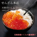 せんざん本店 天使のいくら2本セット 北海道産 いくら いくらの醤油漬け お寿司 パスタ 人気 ギフト 誕生日 お歳暮 お中元 贈り物 ギフト梱包 無料 熨斗