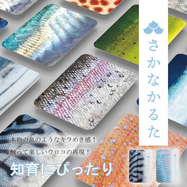 さかなかるた (メール便送料無料) かるた 魚 知育 カードゲーム 玩具 教育 おもちゃ お風呂 人気 知育玩具 さかなかるた 学習 生き物 千葉印刷