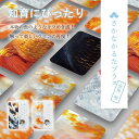 さかなかるたプラス【金魚版】かるた 魚 知育 カードゲーム 玩具 教育 おもちゃ お風呂 人気 知育玩具 さかなかるた 学習 生き物 千葉印刷