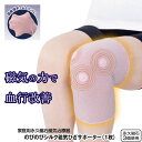 のびのびシルク磁気ひざサポーター 管理医療機器 (メール便送料無料) ...(4)