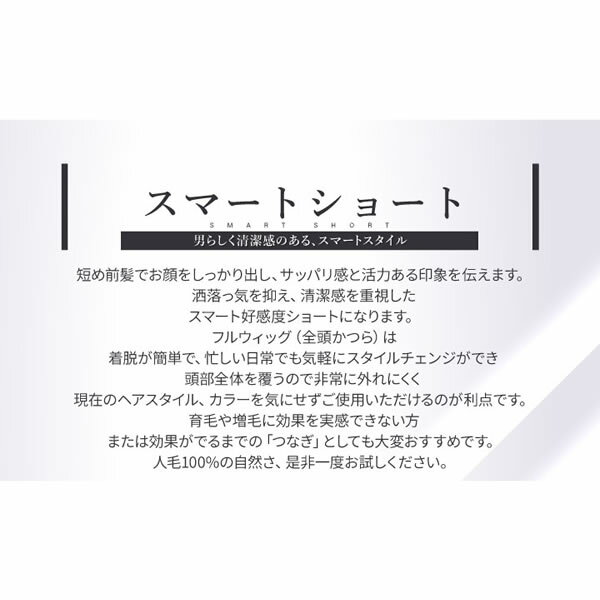 TefuRe 男性用ウィッグ スマートショート [DS-PTMEN-M10] (全国一律送料無料) ウィッグ フルウィッグ ウイッグ かつら 白髪隠し ボリュームアップ 薄毛対策 つけ毛 男性用 バレない 人毛 全頭かつら フリーサイズ 伸縮性 清潔感 簡単 脱毛 薄毛 軽量