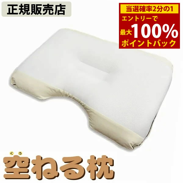 ＜12/4〜12/11限定★最大100%ポイントバック＞≪ポイント20倍≫【正規販売店】空ねる枕(くうねるまくら) (送料無料) 丸山修寛先生監修 枕 静電気 除去 睡眠 熟睡 ノンレム睡眠 快眠 安眠