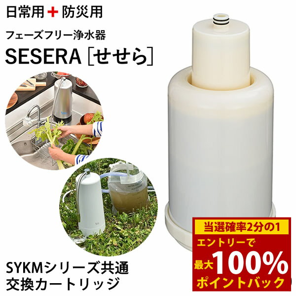 ��12/19��12/26���������100%�ݥ���ȥХå��䥵���ƥå��� �ե������ե꡼����� SESERA ������ ���Ѹ򴹥����ȥ�å� SYS120 (����̵...