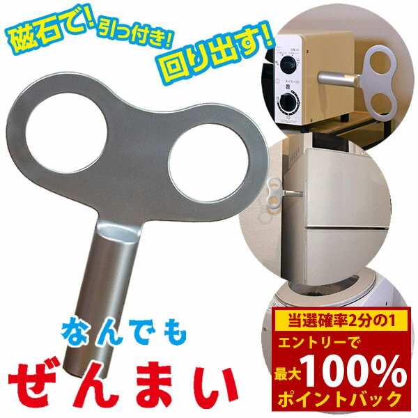 ＜12/1限定★最大100%ポイントバック＞なんでもぜんまい (メール便送料無料) おもちゃ ぜんまい仕掛け ぜんまい 磁石 人気 面白い 遊び心