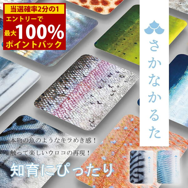 ＜12/1限定★最大100%ポイントバック＞さかなかるた (メール便送料無料) かるた 魚 知育 カードゲーム 玩具 教育 おもちゃ お風呂 人気 知育玩具 さかなかるた 学習 生き物 千葉印刷