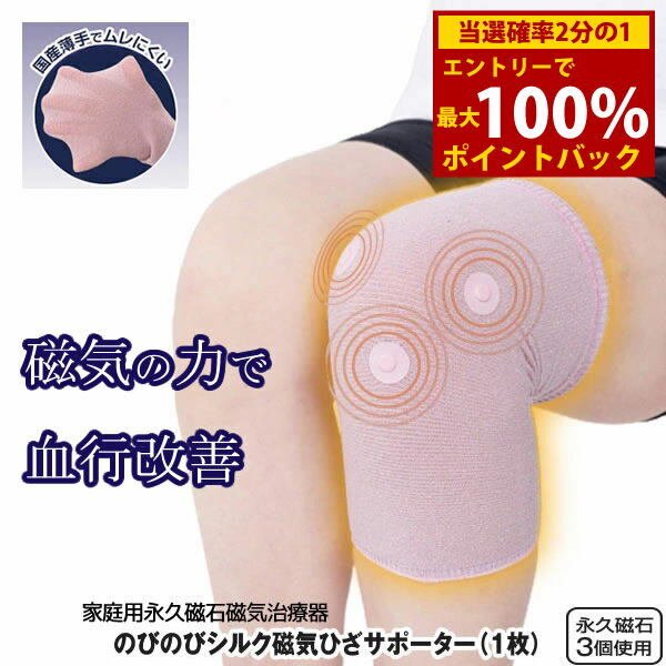 ��1/9��1/16���������100%�ݥ���ȥХå���ΤӤΤӥ��륯�����Ҥ����ݡ����� �������ŵ��� (�᡼��������̵��) ��Բ��� �������Ŵ� ���� �ʵ׼��� ...