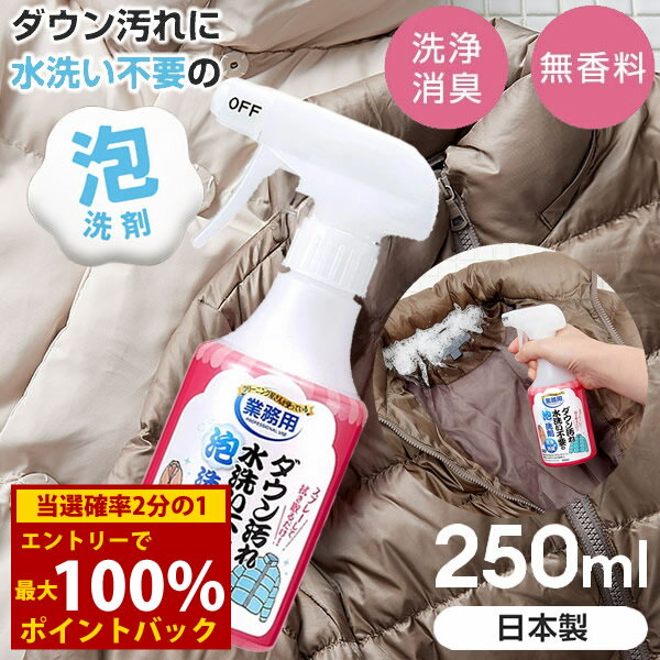 <12/4〜12/11限定★最大100%ポイントバック>ダウン汚れ水洗い不要の泡洗剤 (全国一律送料無料) 泡洗剤 洗濯洗剤 そで汚れ 汚れ落とし 皮脂汚れ 食...