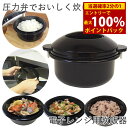 <9/18限定★最大100%ポイントバック>圧力弁でおいしく炊ける 電子レンジ用炊飯器 15品のレシピと計量カップ付き (送料無料) 炊飯器 日本製 電子レンジ...