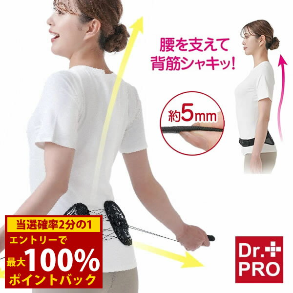 楽天市場】一日中らくらく姿勢シャキットの通販 楽天市場】一日中らくらく姿勢シャキットの通販