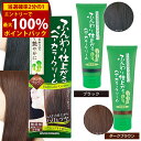 <8/1限定★最大100%ポイントバック>ふんわり仕上がるヘアカラークリーム 200g (全国一律送料無料) 白髪染め ヘアカラー ヘアクリーム 利尻昆布 毛染...
