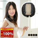 <5/9〜16限定★最大100%ポイントバック>アクアドール 総手植え人毛MIXヘアピース リアルスキン ロングタイプ ahp018 (送料無料) トップピース...