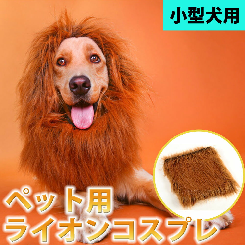 ●送料無料●ペット たてがみコスチューム ライオン ハロウィン 仮装 コスプレ 帽子 猫 小型犬 LP-02 【送料無料】【RCP】 その1