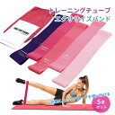 エクササイズバンド 5本セット ピンク ゴムチューブ トレーニングチューブ バンド フィットネス ダイエット ヨガバンド 体幹 加圧 補強チューブ LRZ-01...