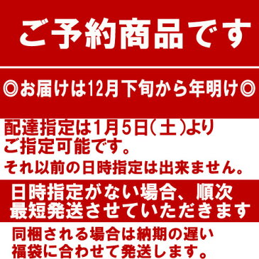 【ポイント5倍!】◎ご予約品◎【CONLUSOR】コンルーソル 2019年新春福袋 ハッピーバック F3-A 男の子