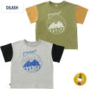 【30%OFFセール】ディラッシュ・DILASH/ 袖バイカラーイラスト半袖Tシャツ (150cm-160cm）男の子/ジュニア/子供服