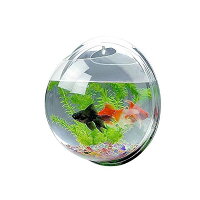熱帯魚を飼う水槽セット おしゃれなおすすめランキング 1ページ gランキング 熱帯魚を飼う水槽セット おしゃれなおすすめランキング 1ページ gランキング