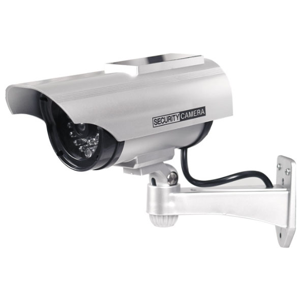 ��[����̵��]�����顼�ѥͥ���ܤǴ������ڥ饯������LED�饤����ܤ��Կ��Ԥ�ƨ���Ф�����ʪ���ä���Υ��ߡ����ȥ�������ȥ���� ���ߡ� ���ȥ���� �ۡ��ॻ��...