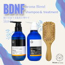脳活 サロン専売品 プレゼント付き!\ノンシリコン/ BDNF シャンプー&トリートメント セット 【 脳 の エイジングケア 】 抗加齢学会で発表 BDNFブレンドオイル 配合 天然アロマ 国内分析済 女性ホルモン 男性ホルモン 睡眠 の質アップ 認知症予防 更年期 フェムテック