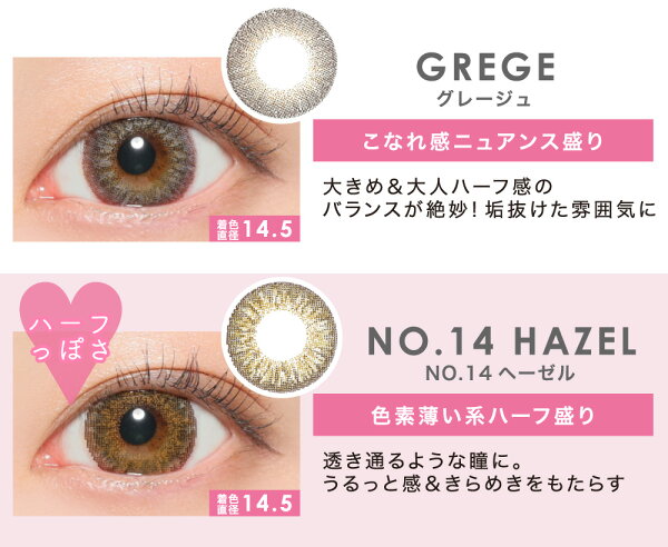 GREGE グレージュ / NO.14 HAZEL NO.14ヘーゼル