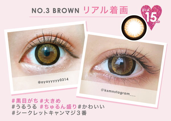 NO.3 BROWN リアル着画