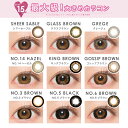 カラコン 1ヶ月 【最大直径15mm】 FABULOUS 1month 度あり 1枚入 り あす楽/送料無料(ネコポス) ファビュラス ワンマンス マンスリー 15.0mm 鈴木愛理 カラーコンタクト コンタクトレンズ 大きい フチあり フチなし デカ目 コスプレ 3番 ブラウン ブラック グレー 2