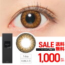 【SALE】 ReVIA 1day COLOR ジプシーアンバー1箱10枚入り UVカット あす楽/送料無料(ゆうパケ) レヴィア ナチュラル 度あり 度なし カ..