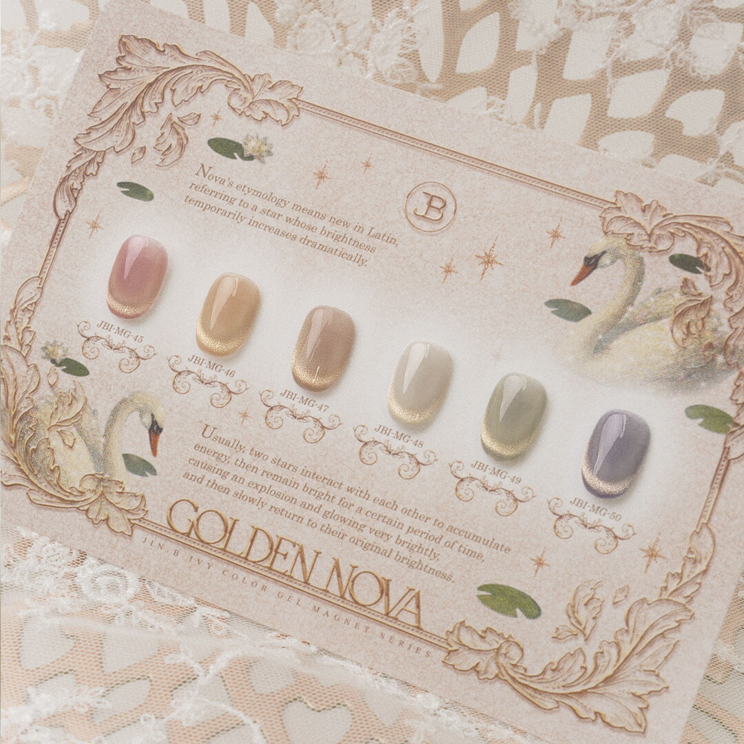 [���å�] ���饷������ӡ� ������ǥ�Υ��� 6�� �ޥ��ͥåȥ����� �ޥ��ͥåȥ�����ͥ��� �����åץ����� ����å��������� ����եͥ���