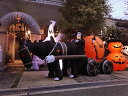 【即納】【在庫あり】超ド級のメガサイズ ハロウィン ゴーストキャリッジ エアーディスプレイ アメリカン雑貨 アメリカ雑貨 グッズ