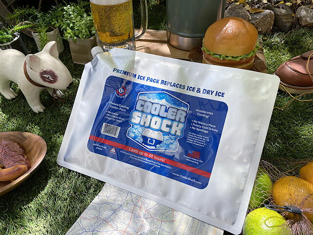 アメリカで大ヒットした強力な保冷剤 クーラーショック Lサイズ 単品