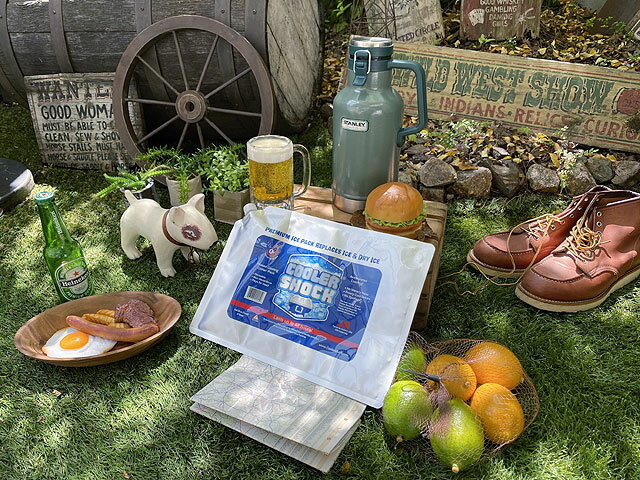 アメリカで大ヒットした強力な保冷剤 クーラーショック Lサイズ 単品通販格安セール情報 楽天 通販