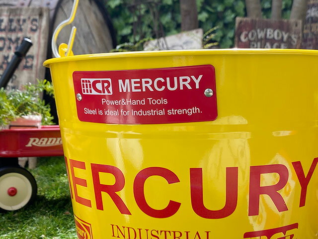 �ޡ�����꡼���Х��ġ��쥮��顼��������10L���ʥ��������ˡ�����ꥫ�󻨲ߡ�����ꥫ���ߡ����å� �����ǥ˥󥰡�����������졡��������������