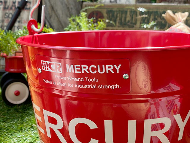 �ޡ�����꡼���Х��ġ��쥮��顼��������10L���ʥ�åɡˡ�����ꥫ�󻨲ߡ�����ꥫ���ߡ����å� �����ǥ˥󥰡�����������졡��������������