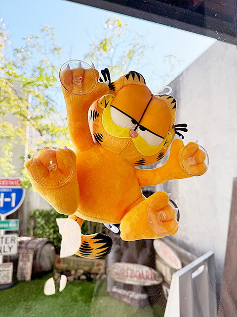 �����ե�����ɡ����饹Ž���դ��̤�����ߡ��ʵ����դ��ˡ�����ꥫ�󻨲ߡ�����ꥫ���ߡ����å�