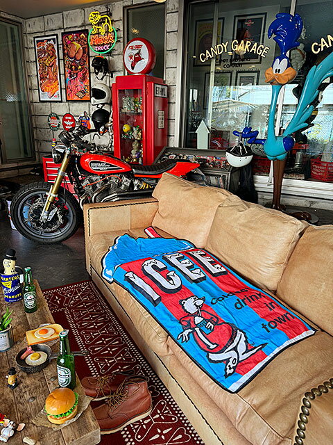 ICEE�������������ե�������ɥ�󥯡��ӡ��������롡�ʥ֥롼�ˡ�����ꥫ�󻨲ߡ�����ꥫ���ߡ����å�