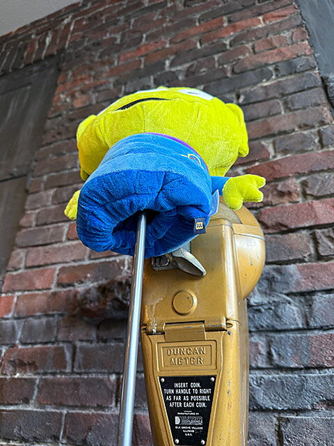 �ȥ����ȡ��꡼�������ꥢ�󡡥���ե���֡��إåɥ��С����̤�����ߡ�����ꥫ�󻨲ߡ�����ꥫ���ߡ��ǲ襰�å���������졡����åץ���ƥꥢ