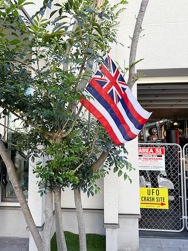 �ϥ磻���������ƥ��å��ե�å���L���������ϥ磻����ե�å�������ꥫ�󻨲ߡ�����ꥫ���ߡ��ϥ磻���󻨲ߡ��ϥ磻���ߡ��ϥ磻���å����ϥ磻���󥰥å���������졡����åץ���ƥꥢ